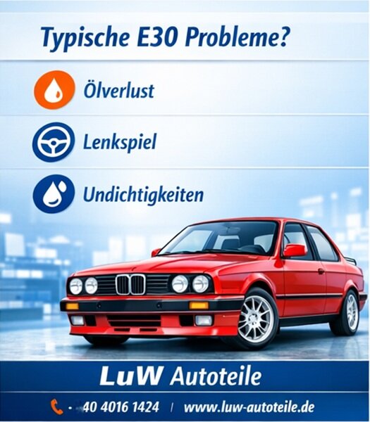 Typische Symptome für Ihren BMW E30