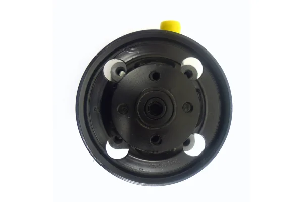 Servopumpe Volvo V70 III (135) - Bj. 04.2007 - 04.2016 - 6G913A696NA - 36000689
