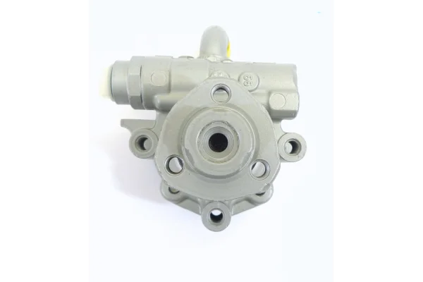 Servopumpe Audi A3 (8L1) - Baujahr 09.1996 - 09.2006 - mit Adapter - 1J0422154EX