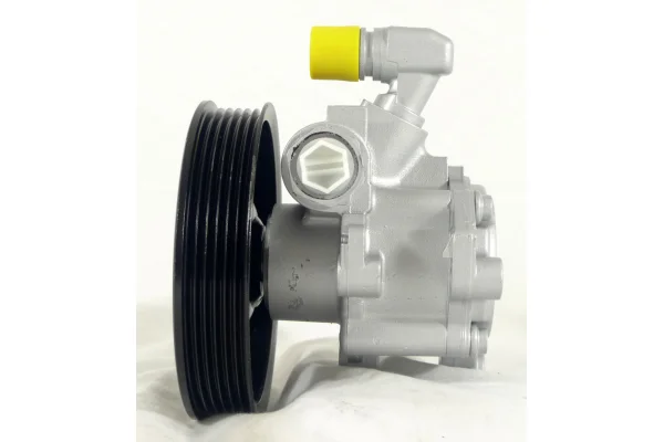Servopumpe Mercedes-Benz SLK (R171) - Baujahr  03.04  - 12.15    A 446 614 01 80